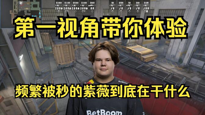 注英